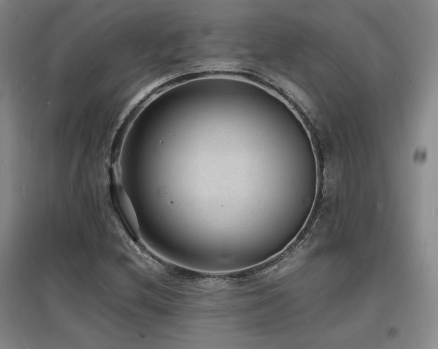 X0000097621212200802291317