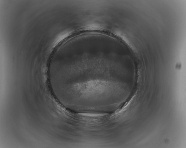 X0000097621213200802291317