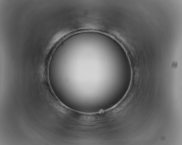 X0000097621215200802291317