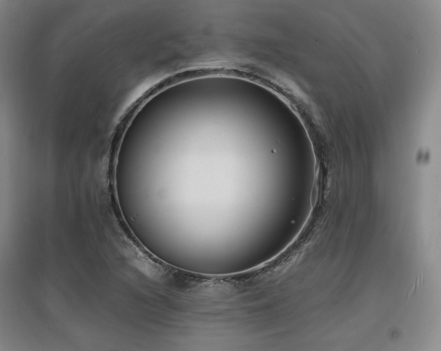 X0000097621216200802291317