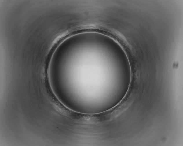 X0000097621218200802291318