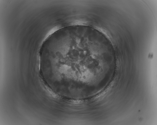 X0000097621219200802291318