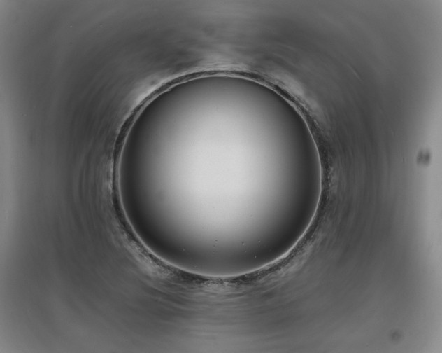 X0000097621220200802291318