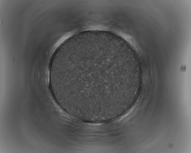 X0000097621221200802291318