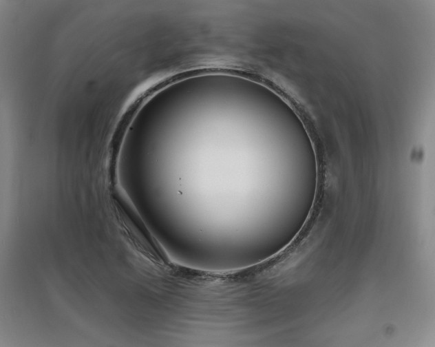X0000097621222200802291318