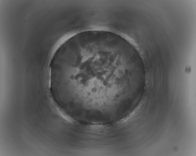 X0000097621223200802291318