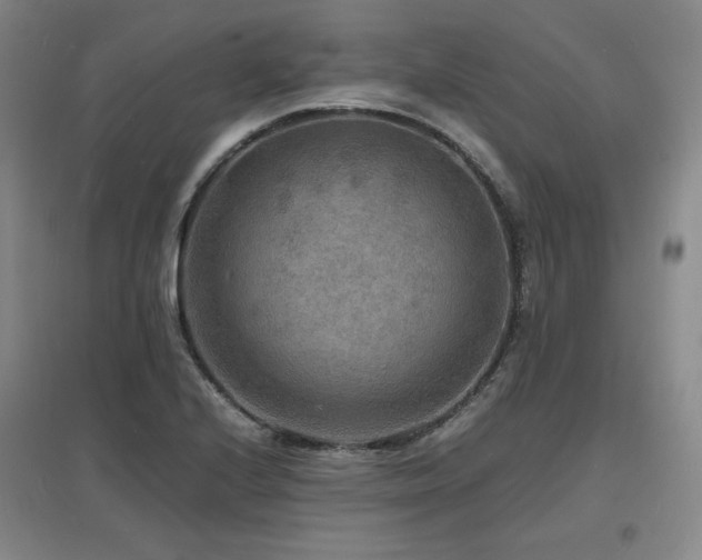 X0000097621224200802291318