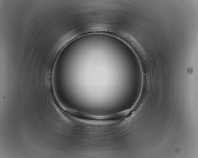 X0000097621225200802291318