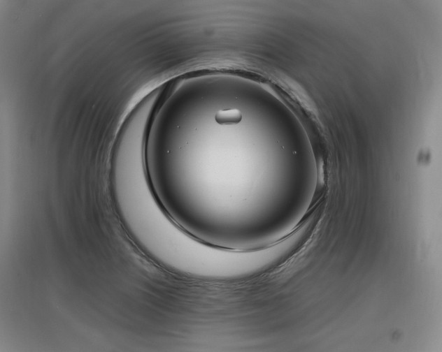 X0000097621226200802291318