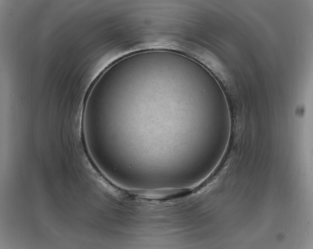 X0000097621228200802291318