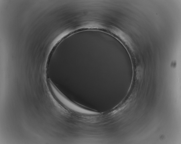 X0000097621229200802291318
