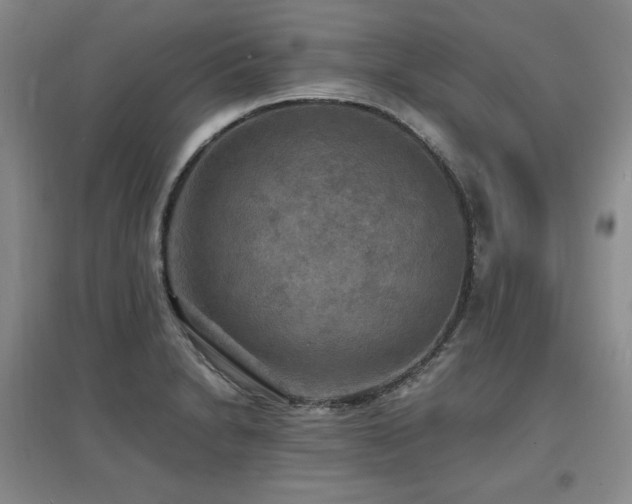 X0000097621230200802291318