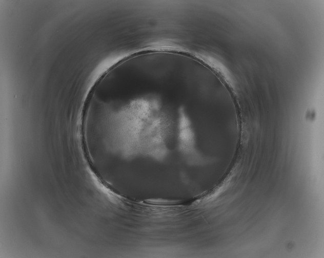 X0000097621231200802291318