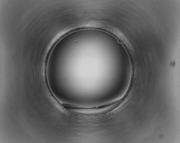 X0000097621232200802291318