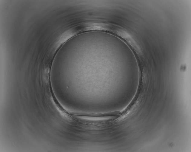 X0000097621233200802291318