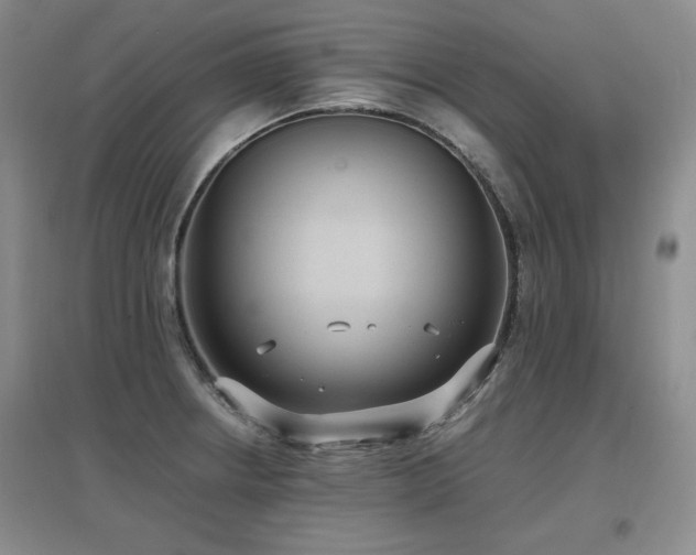 X0000097621234200802291318
