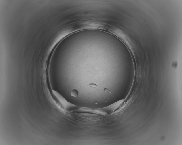X0000097621235200802291318