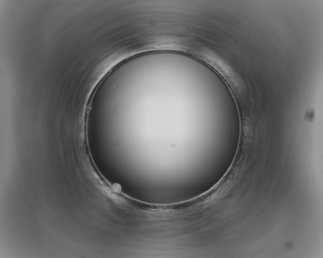 X0000097621236200802291318