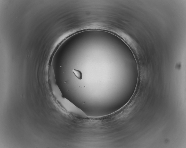 X0000097621238200802291318