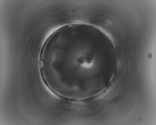 X0000097621239200802291318