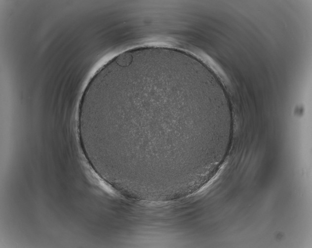 X0000097621240200802291318
