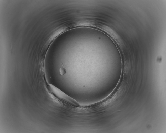 X0000097621241200802291318