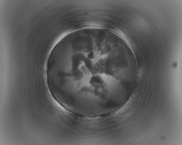X0000097621243200802291318