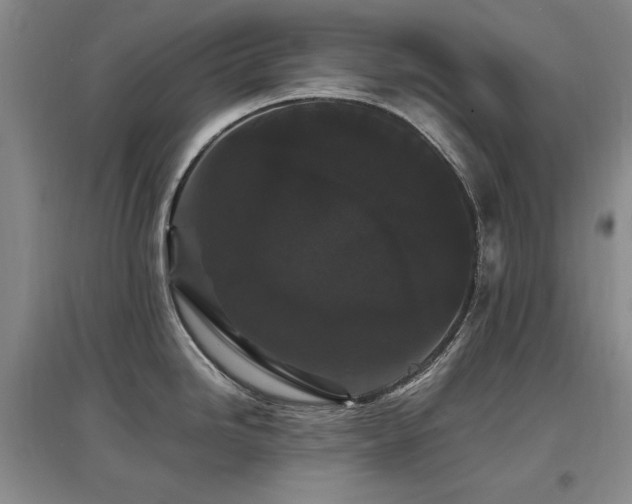 X0000097621246200802291318