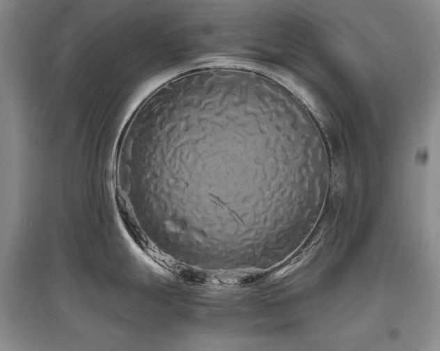 X0000097621247200802291318