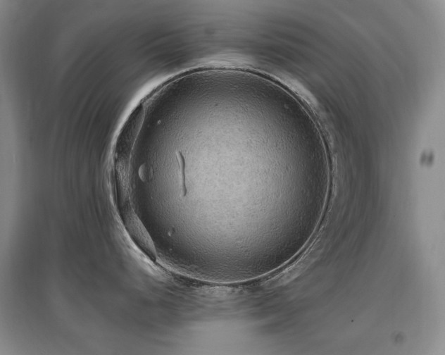 X0000097621248200802291318