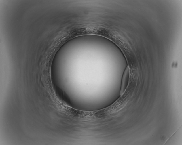 X0000097621249200802291317