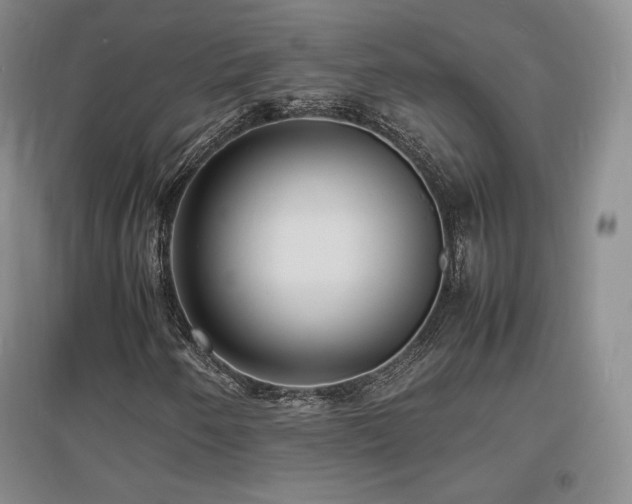 X0000097621250200802291317