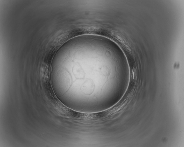 X0000097621251200802291317