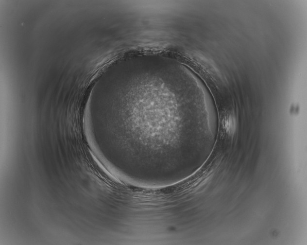 X0000097621252200802291317