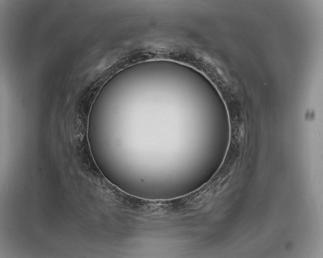 X0000097621253200802291317
