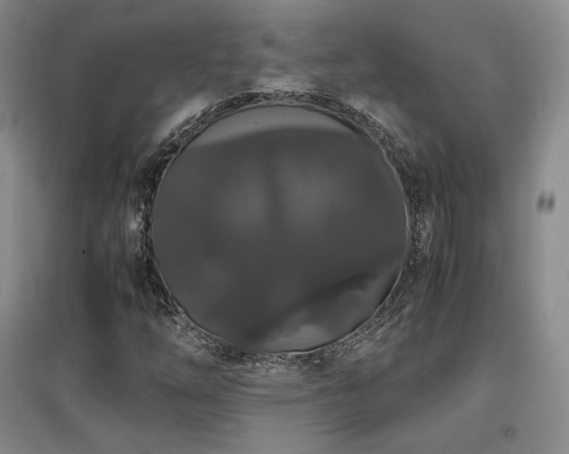 X0000097621254200802291317
