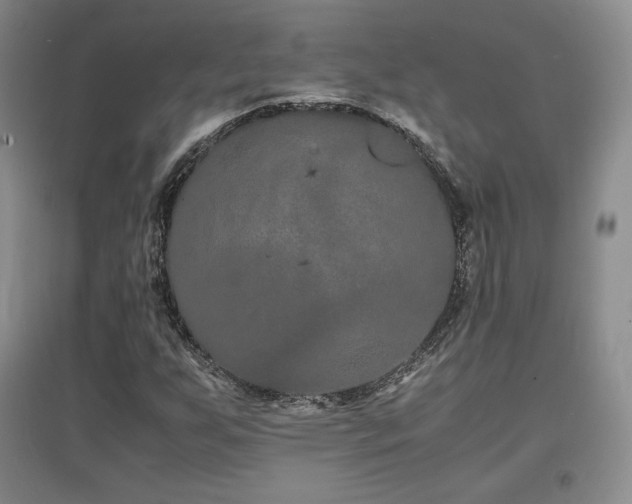 X0000097621255200802291317
