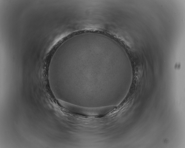 X0000097621256200802291317