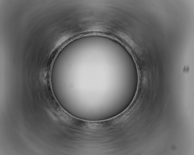 X0000097621258200802291317