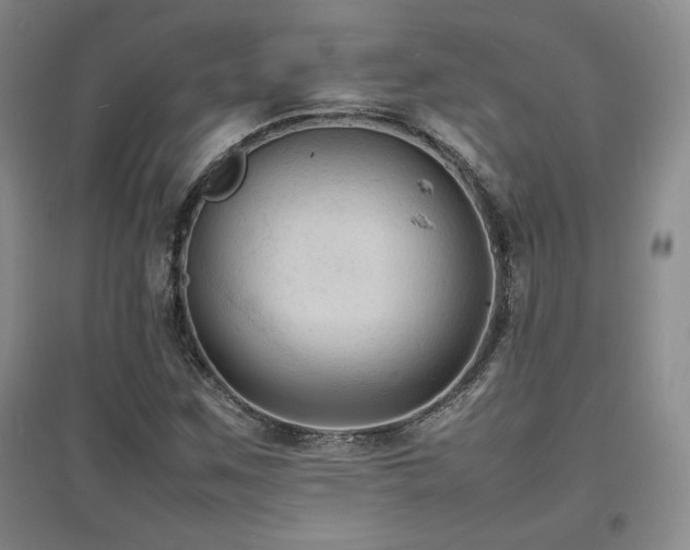 X0000097621259200802291317