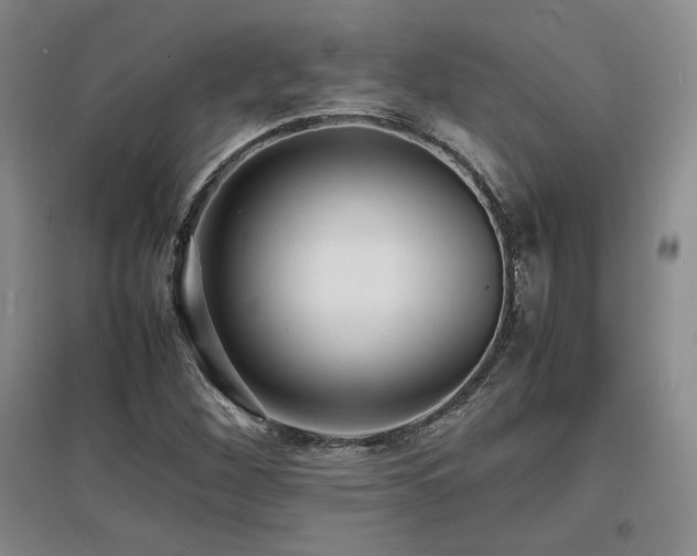 X0000097621260200802291317