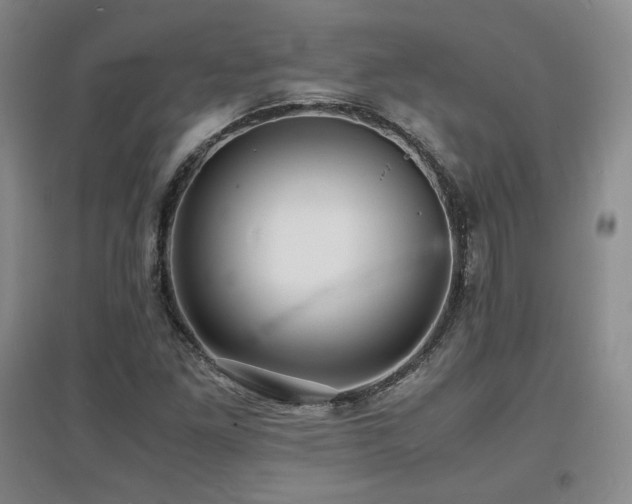 X0000097621261200802291317