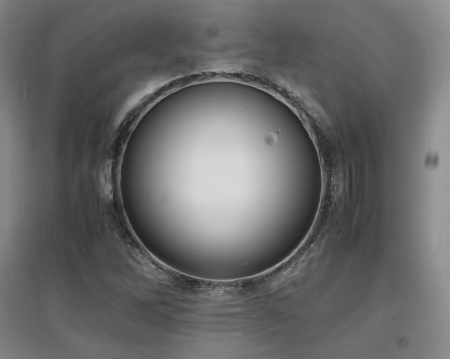 X0000097621262200802291317