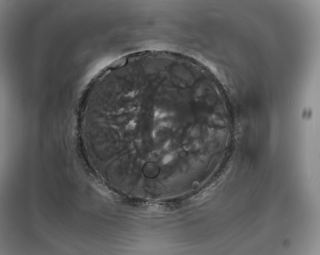 X0000097621263200802291317