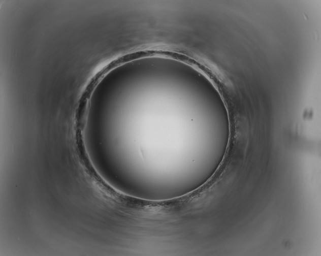 X0000097621264200802291317