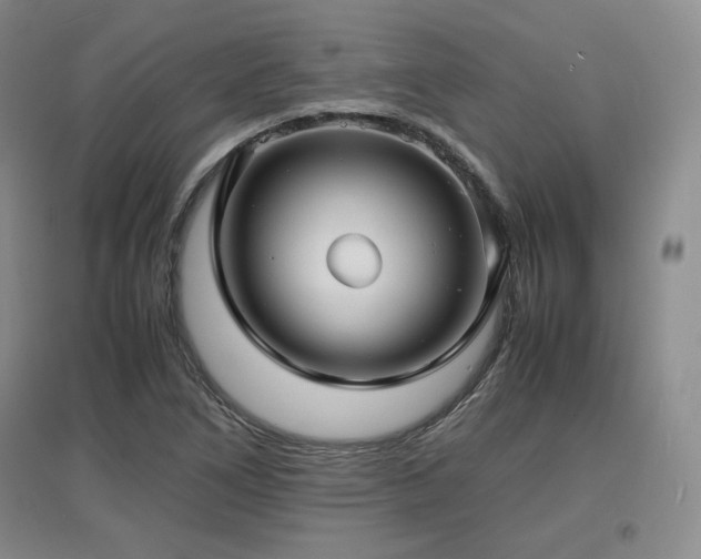 X0000097621266200802291317