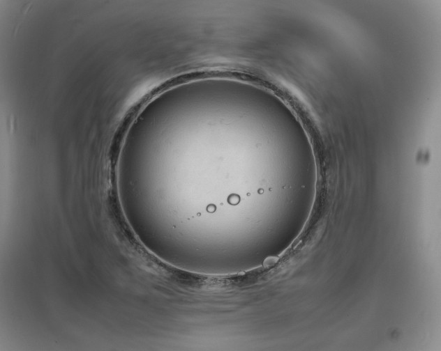 X0000097621267200802291317