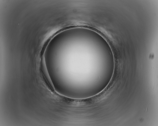 X0000097621269200802291317