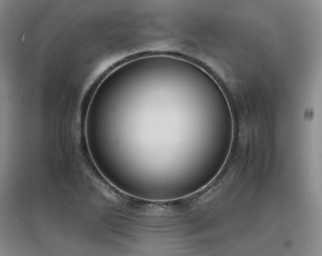 X0000097621270200802291317