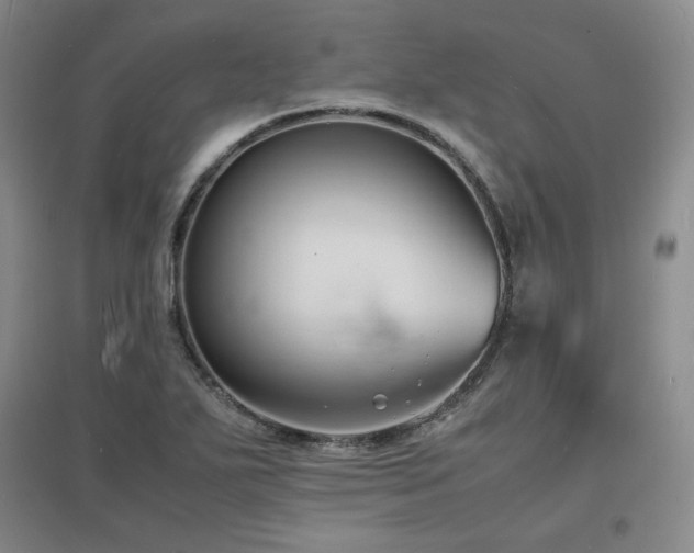 X0000097621271200802291317